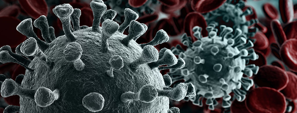 Microscopic view of a virus