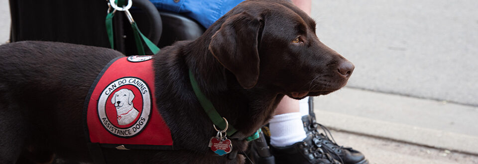 Can Do Canines assistance dog