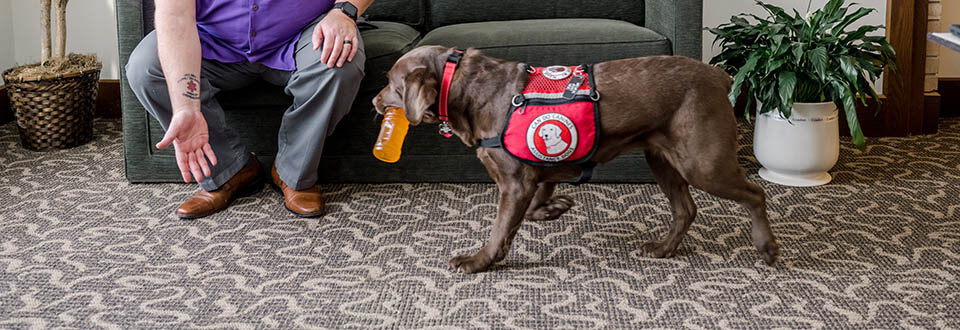 Service dog bringing a water bottle to its owner
