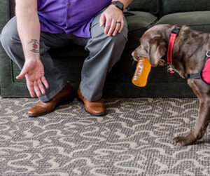 Service dog bringing a water bottle to its owner